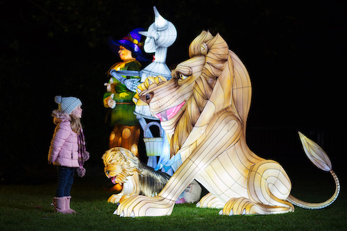 Don’t Miss Wild Lights At Dublin Zoo- It's Even More Spectacular Than Last Year! Oz